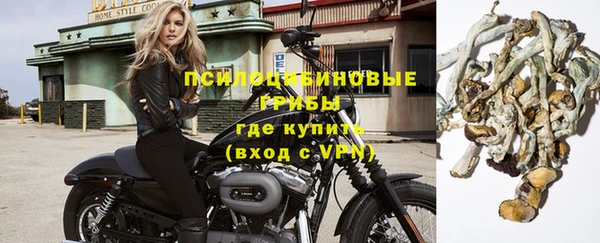 a pvp Новосибирск