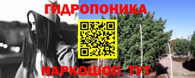 стафф Зерноград