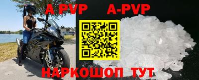 стафф Зерноград