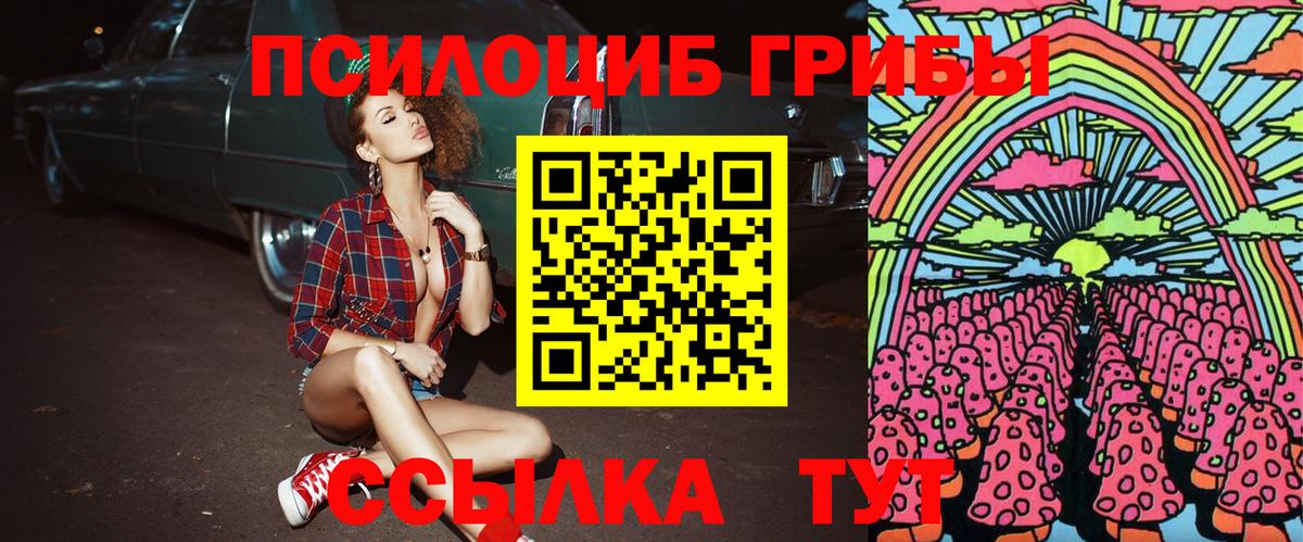 Галлюциногенные грибы ЛСД  Россия 