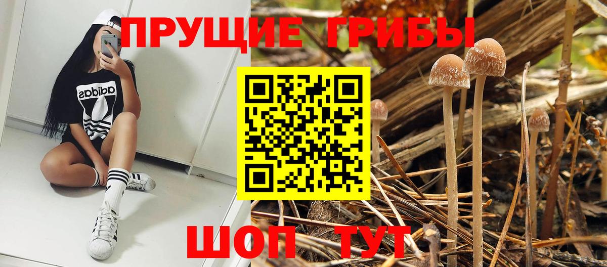 Псилоцибиновые грибы Magic Shrooms  Вход с VPN  Россия  Галлюциногенные грибы прущие грибы 