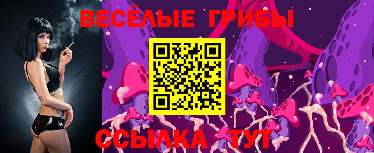 Галлюциногенные грибы Cubensis Россия